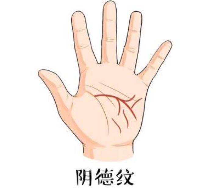 手掌阴德纹位置示意图，手掌阴德纹图