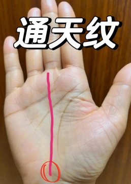 男人左手掌通天纹是怎么回事