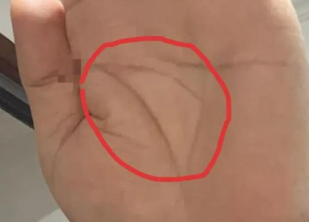 掌心有角什么意思
