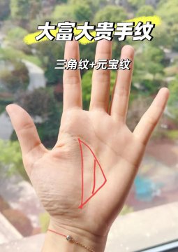 女人掌心大三角纹图片