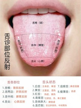 三十六种详细舌诊图