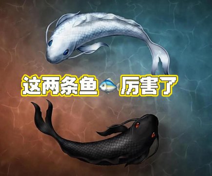 阴阳鱼是什么意思