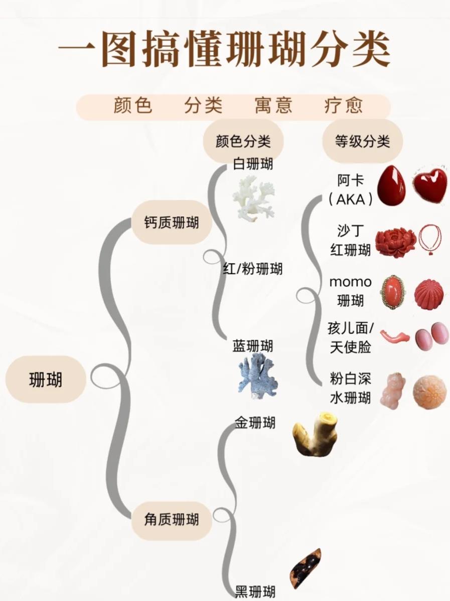 珊瑚分为几种