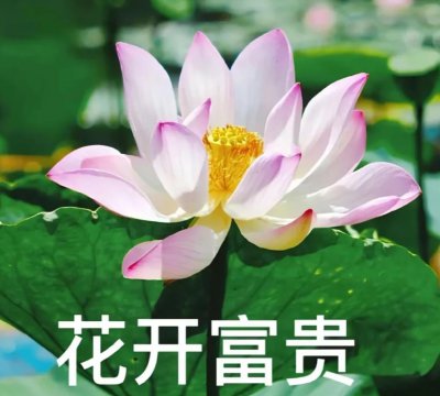 中老年人微信头像