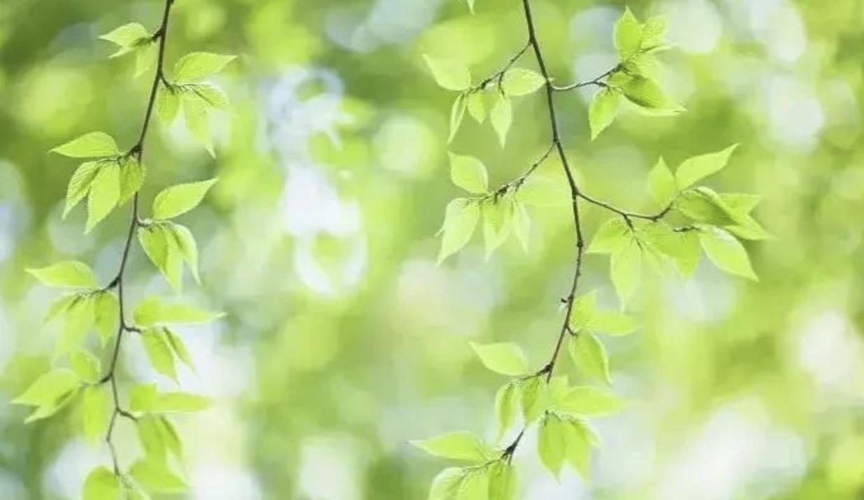 有哪些习惯说明男人心里有别的女人