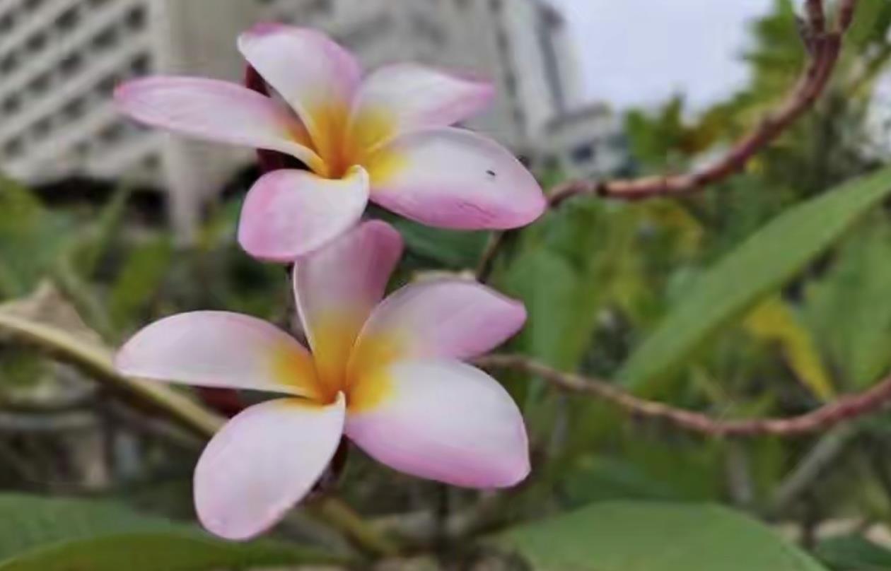 有哪些习惯说明男人心里有别的女人