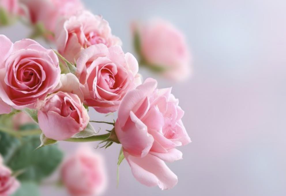 女人招架不住100句情话