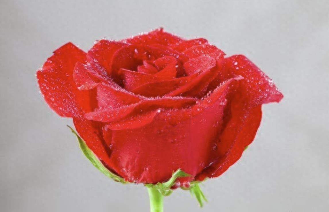 女人招架不住100句情话