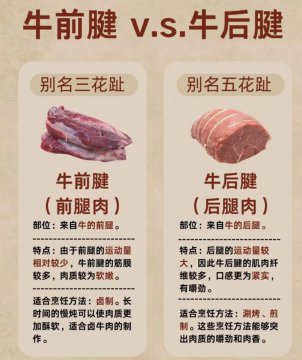 牛肉前腱子和后腱子区别图