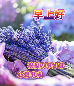 分享早安问候精选图
