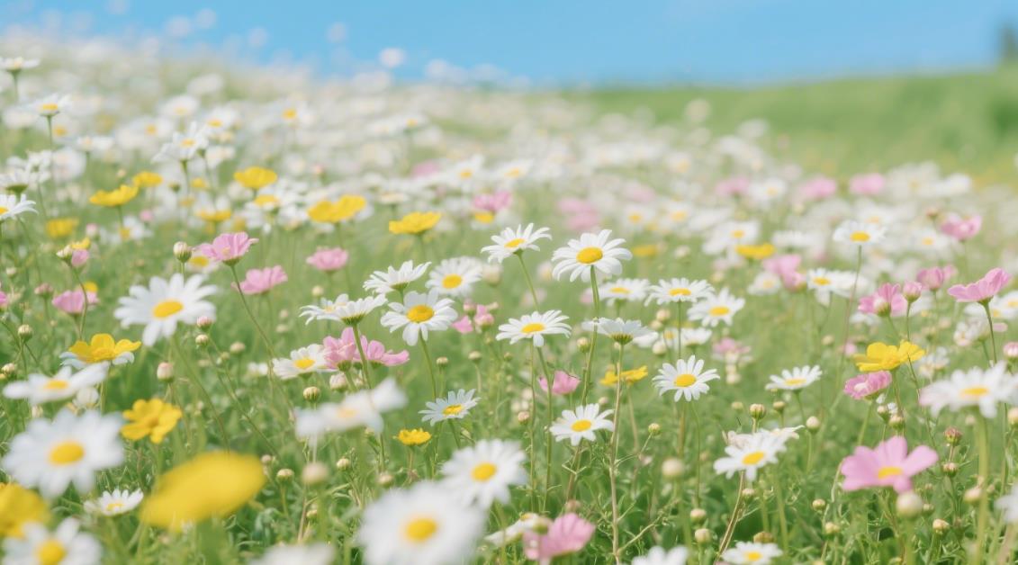 如何从家里看出男人是不是真的爱老婆