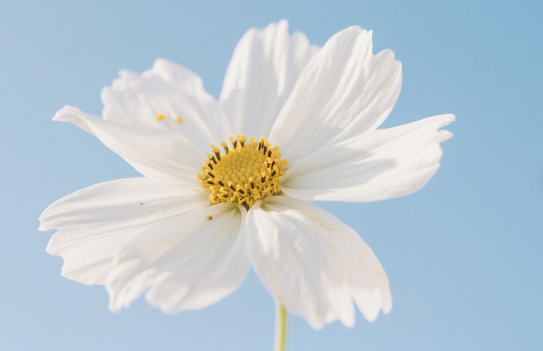 如何从家里看出男人是不是真的爱老婆