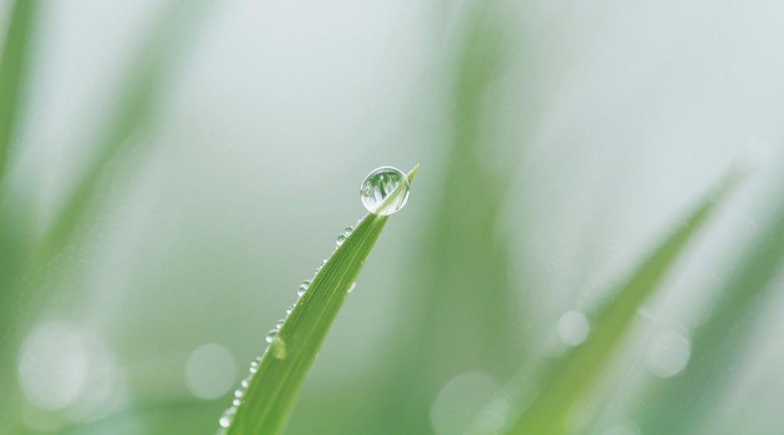 四种情人关系哪种最好