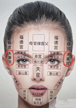女性夫妻宫图片2020