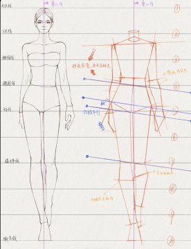 身材饱满的女性人体比例画法