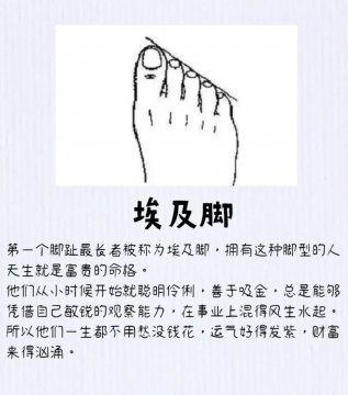 全世界最好看的脚型