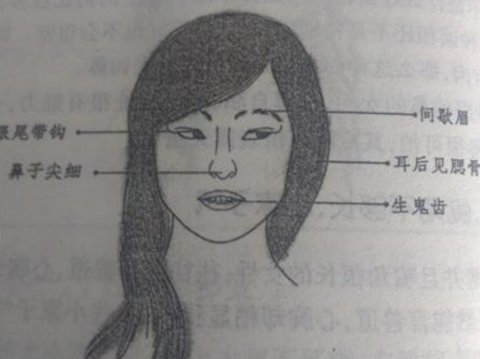 女性贪欲强烈面相