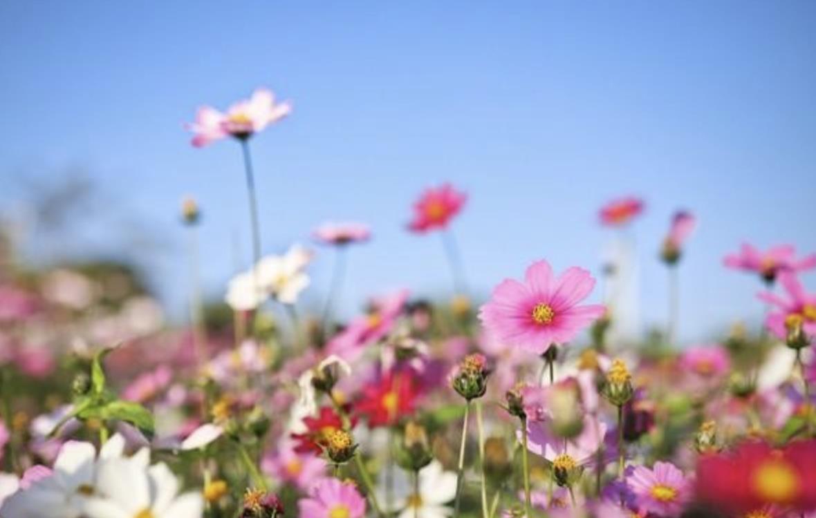 让女人神魂颠倒的礼物,最能勾住40多岁女人心的礼物