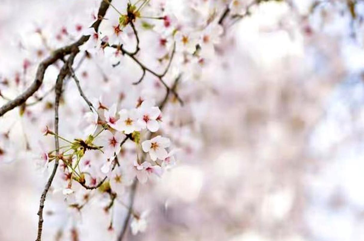 一个女人同时被三个男生喜欢怎么抉择