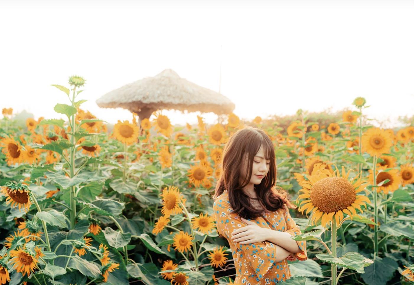 如何让女人疯狂想你,如何让女人生理上喜欢你