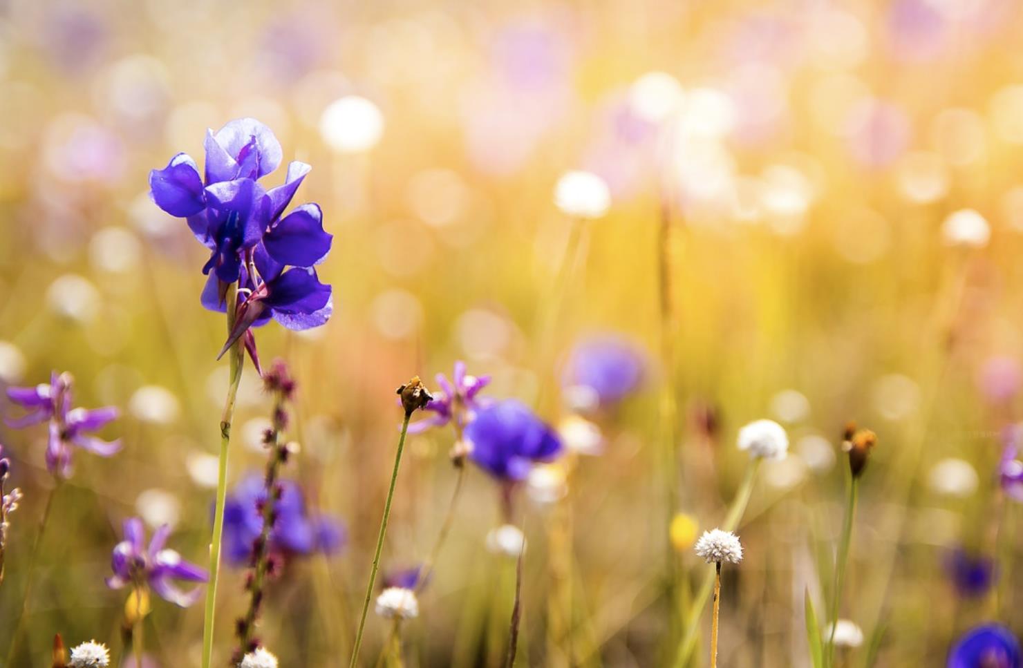 和60岁女人约会聊天