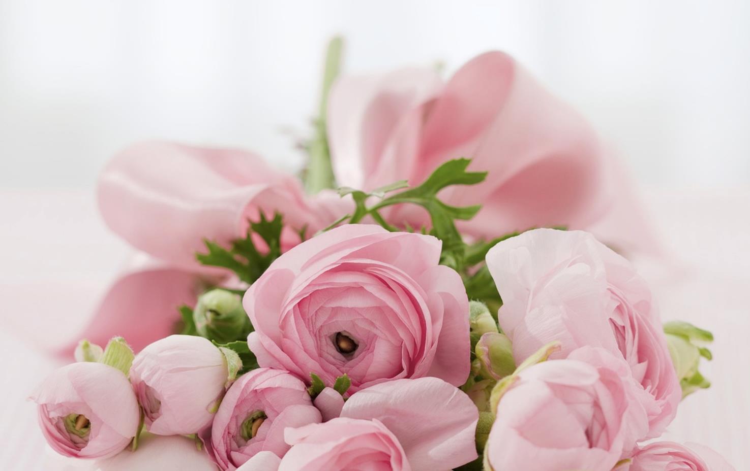 和60岁女人约会聊天