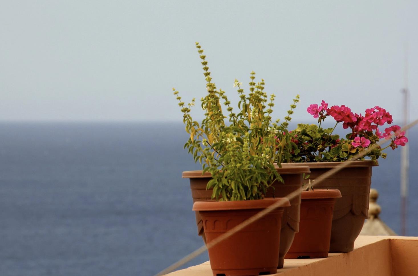 60岁女性情人送什么礼物