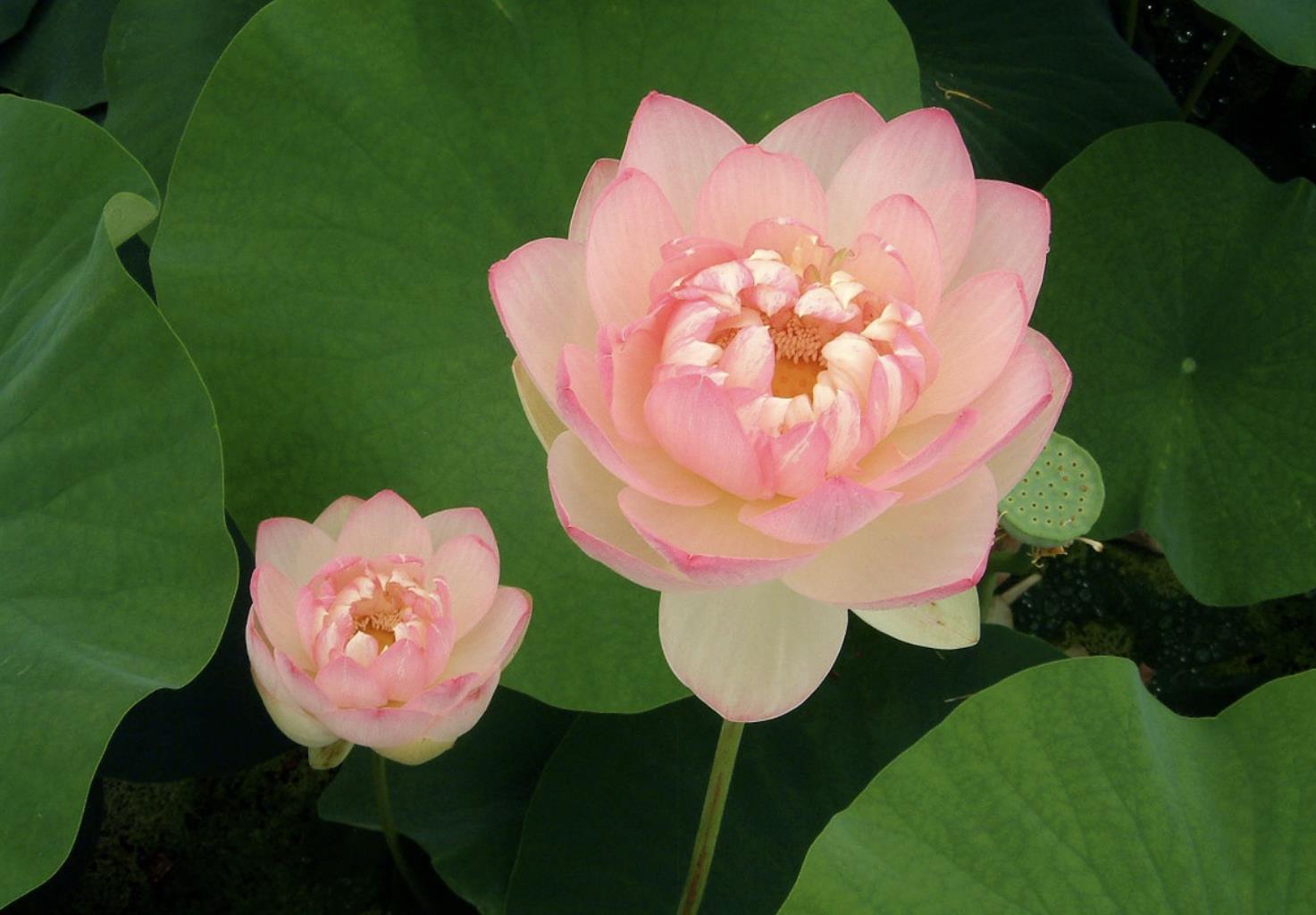 女人最招架不住这3句情话