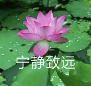 最吸引中年女人的男人微信头像