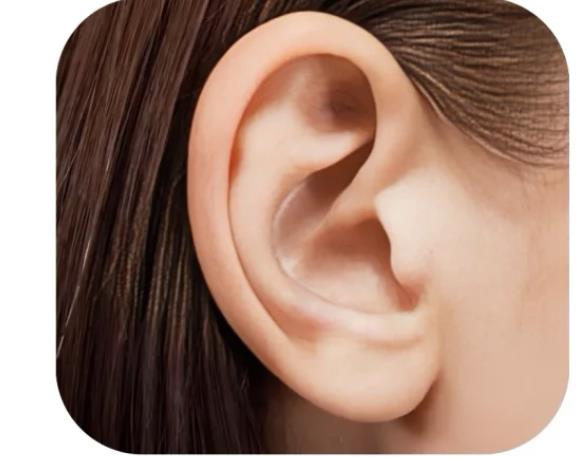 耳朵小且没耳垂的女人有什么说法,耳垂圆圆代表什么