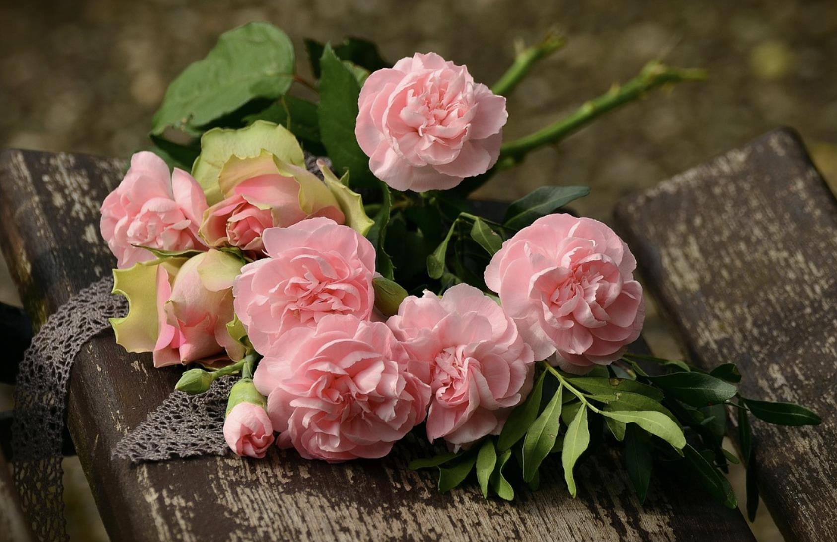 23岁女生第一次见面送什么好