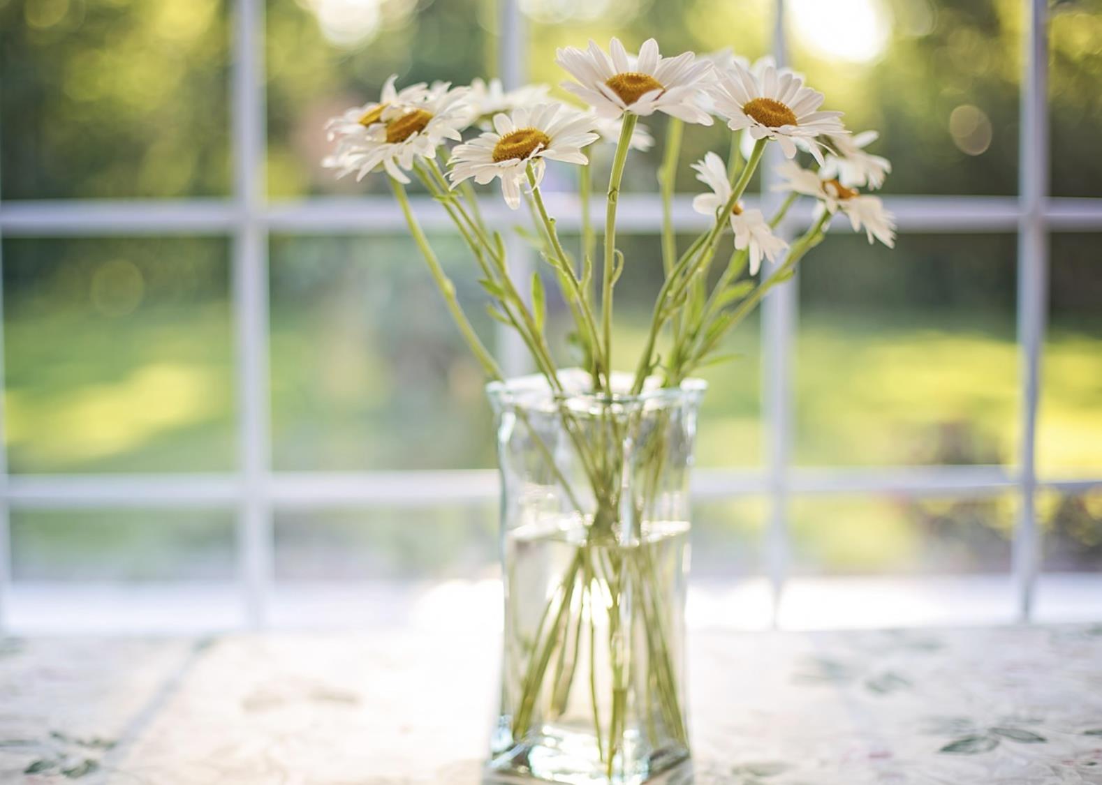 网聊女生第一次见面送什么好