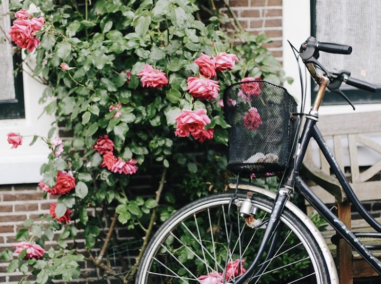 未来亲家第一次见面唠什么好