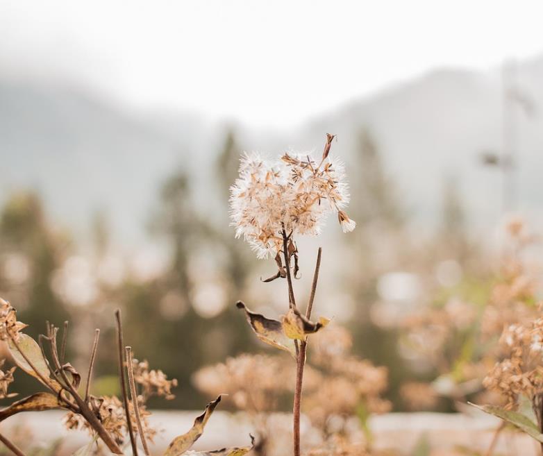 未来亲家第一次见面唠什么好