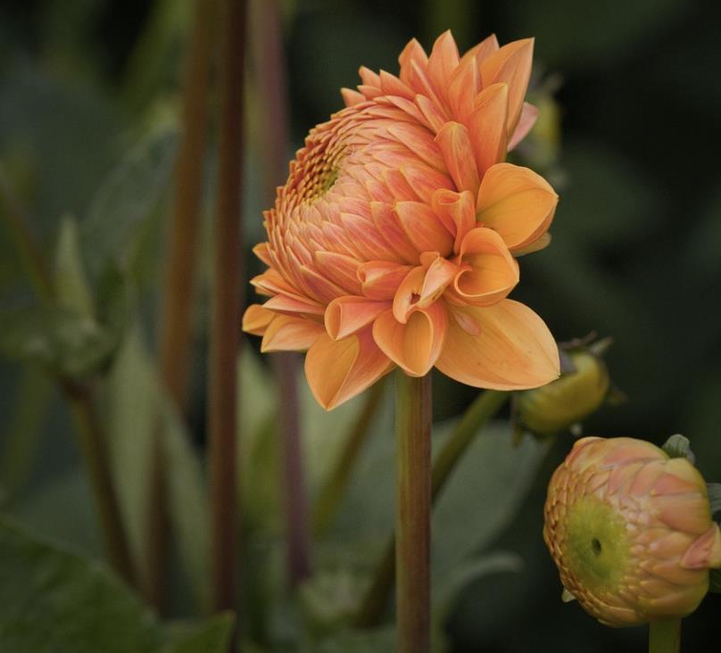 人品好的人有哪些特征