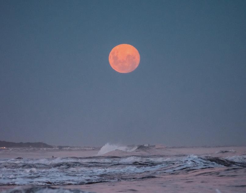 人品好的人有哪些特征