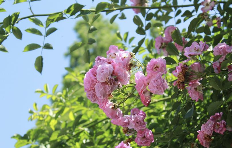 判断人品差的细节有哪些,人品差的十大特点