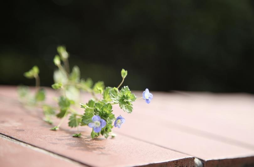 判断人品差的细节有哪些,人品差的十大特点