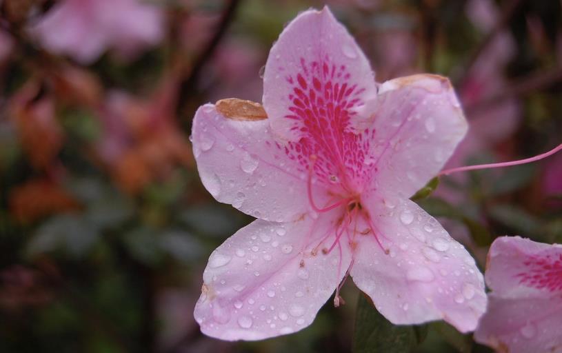 判断人品差的细节有哪些,人品差的十大特点