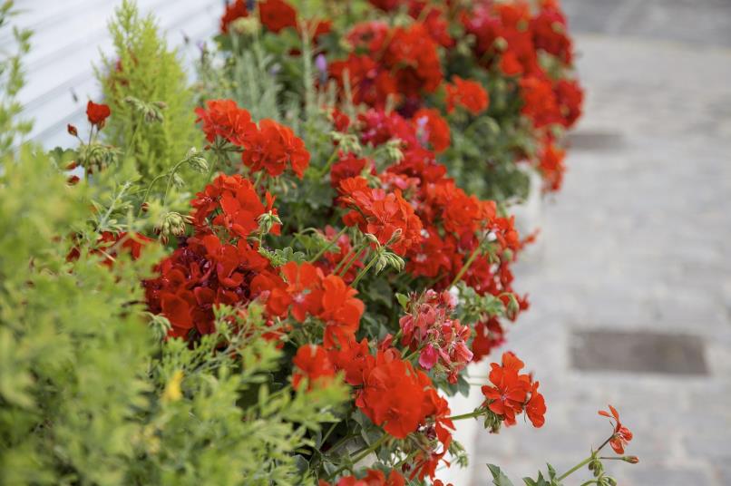 判断人品差的细节有哪些,人品差的十大特点