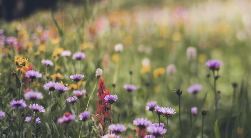 判断人品差的细节有哪些,人品差的十大特点