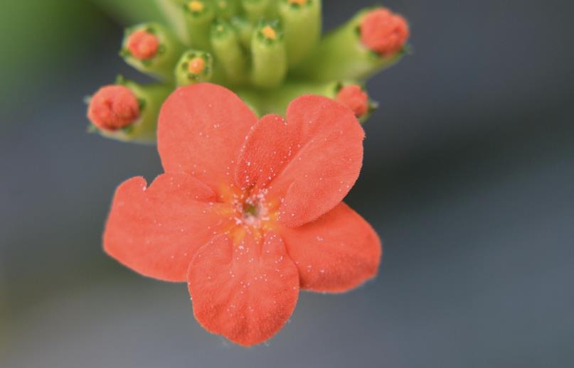 判断人品差的细节有哪些,人品差的十大特点