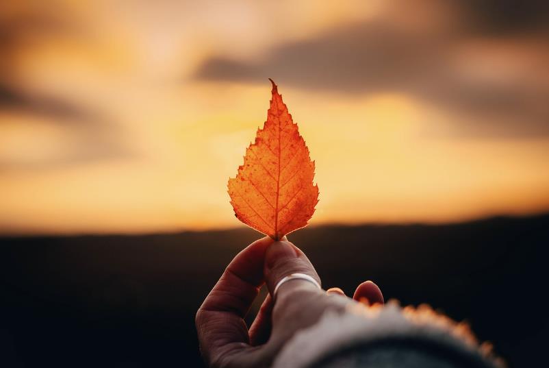 50岁寡妇喜欢什么样的男人