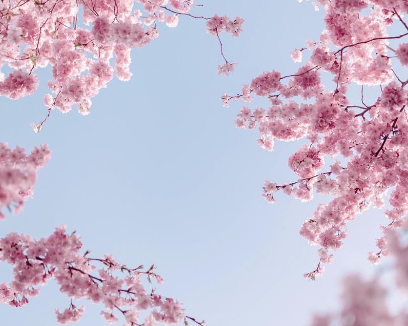 男人心里最想听的三句话,男人最想听的撒娇文案