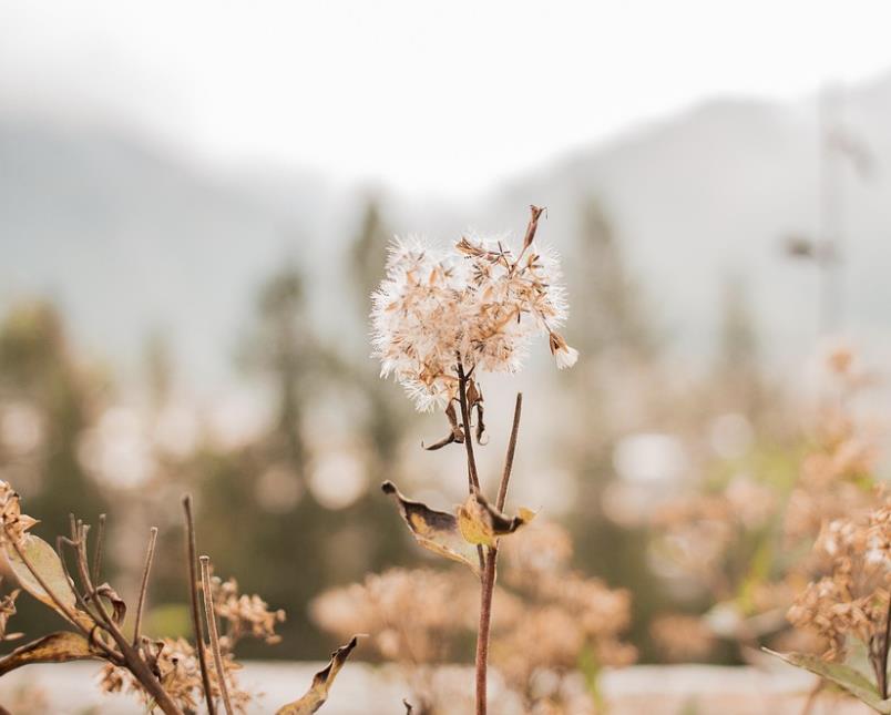 男人心里最想听的三句话,男人最想听的撒娇文案