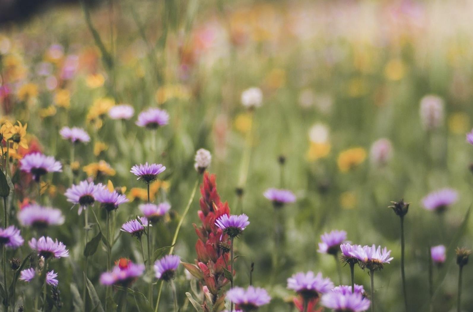 爸爸的嫂子叫什么，爸爸的嫂子怎么称呼