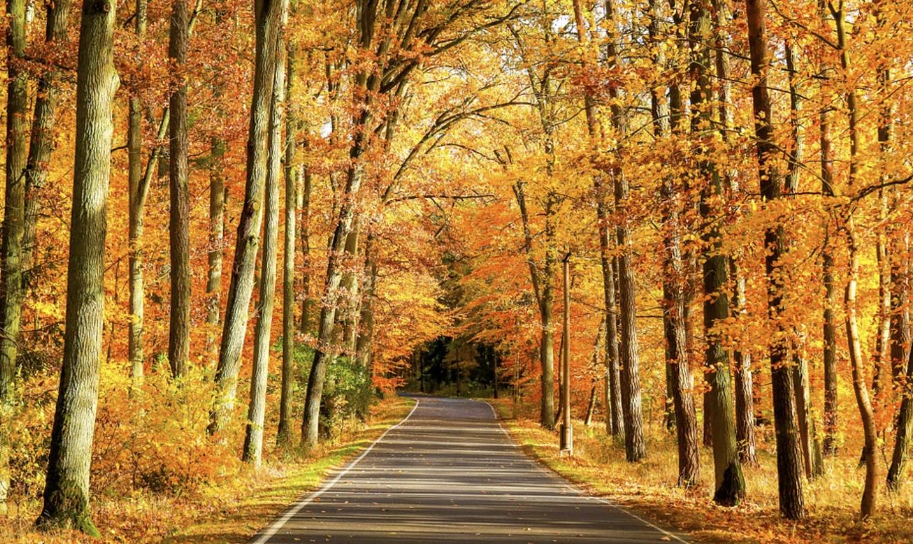 人生八苦是哪八种