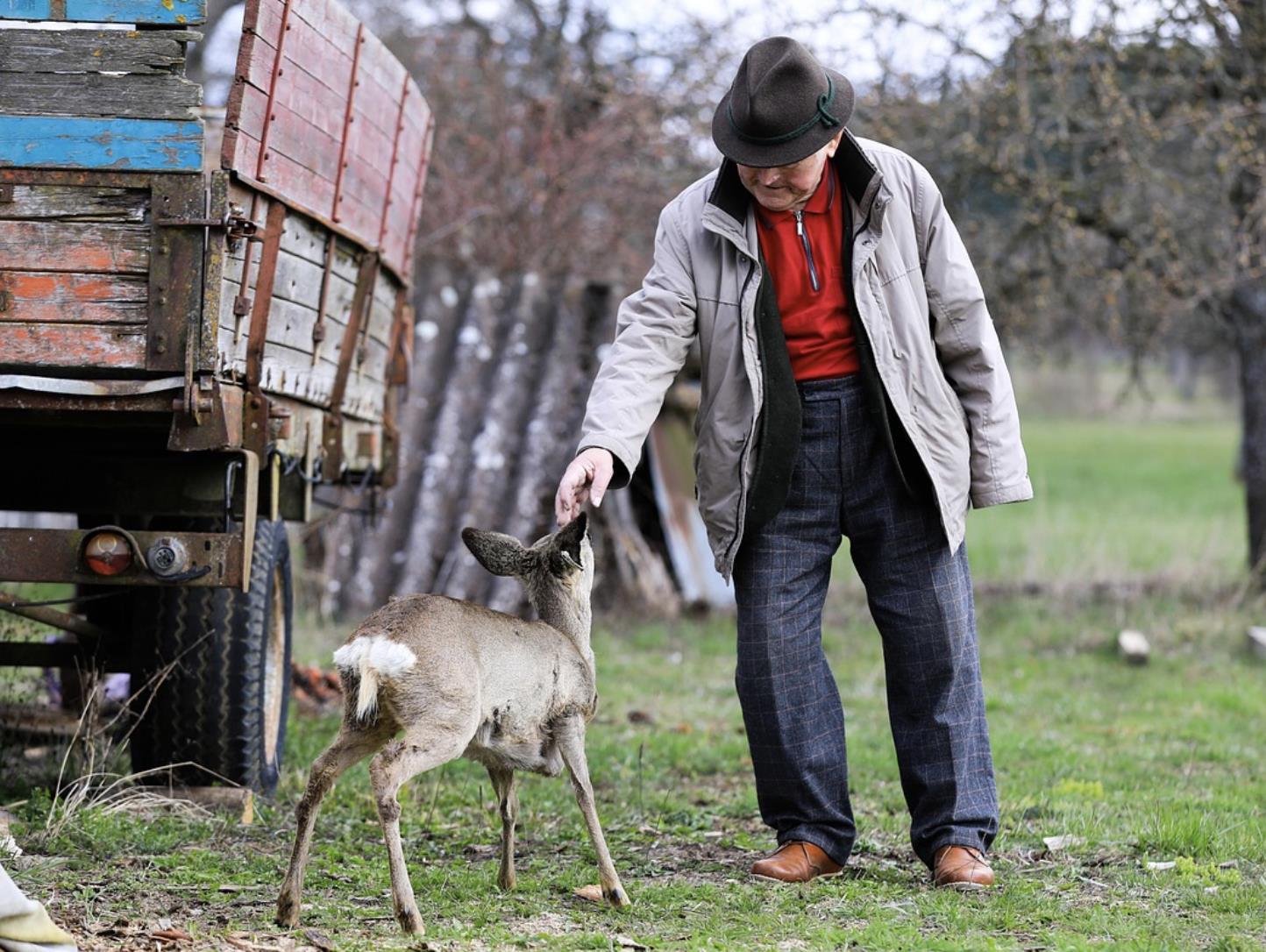 60岁的男人会对女人心动吗