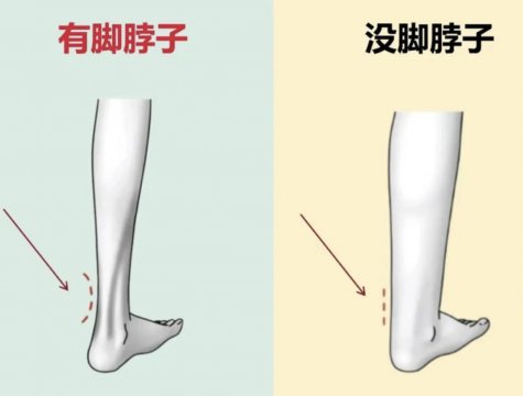 没有脚脖子和有脚脖子对比图