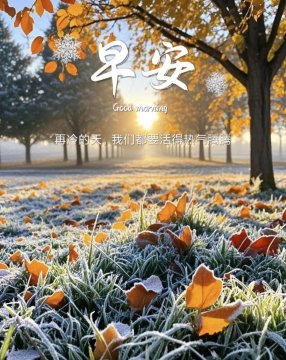 冬天早上好精美图片